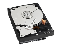 24/7 HDD, SATA, 1 TB, WD Purple 6Gb/s, 64 MB.