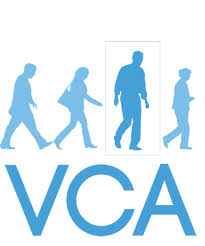 Vivotek VCA Licens Video Analyse, Linje passage Detektion - Felt Detektion - Objekt Tælling